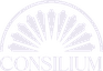 Consilium Consilium